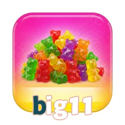 BIG11 — ikon APK